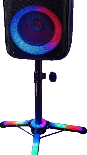 Speaker & party lights