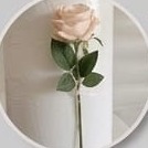 Rose held in one of the castle's special attachment clasps